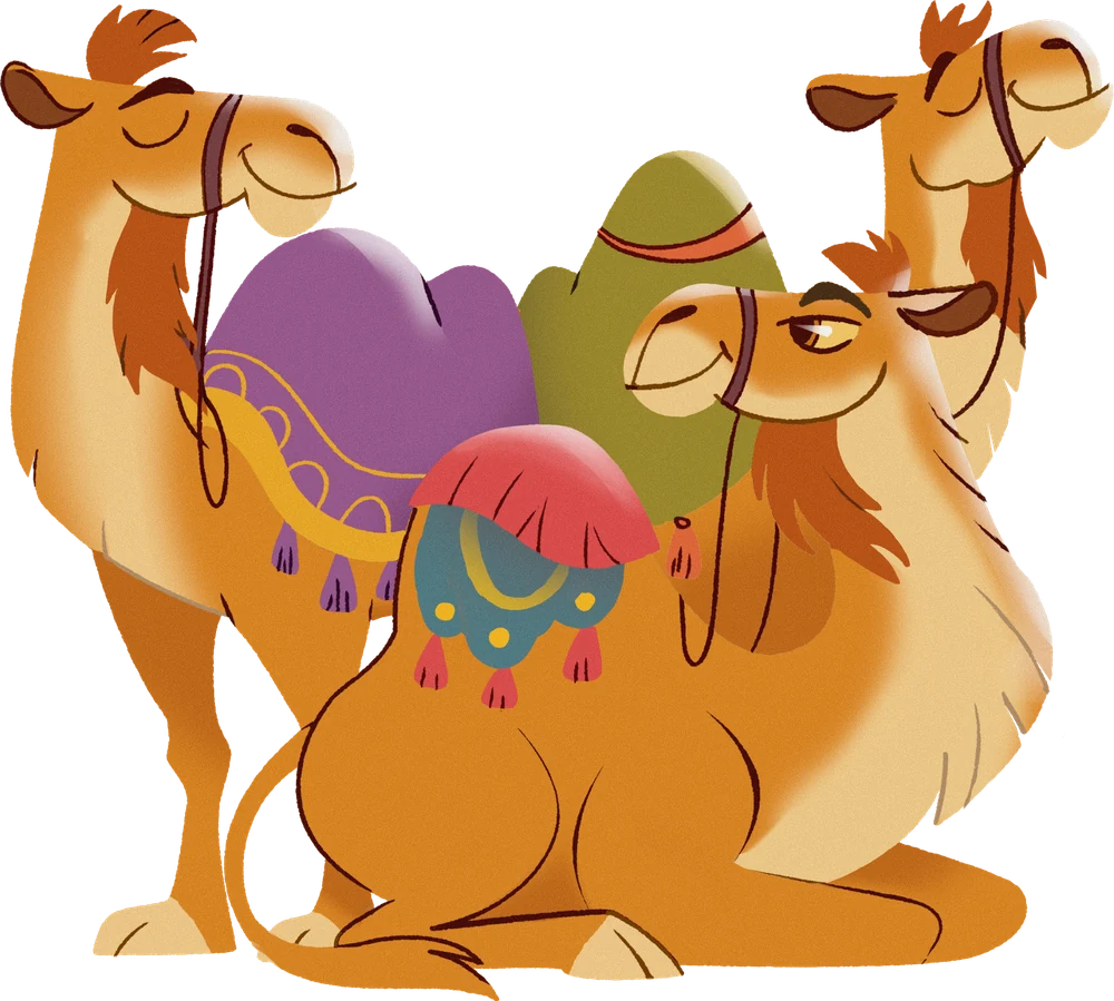 Illustrated camels